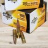 300 blackout ammo